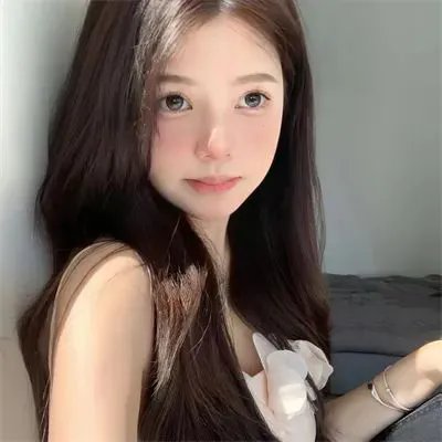 女孩的灵缇犬